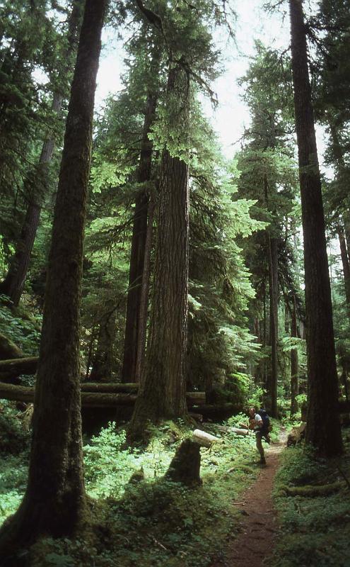 1987-039 Mt Olympus Jul 1987 002.jpg